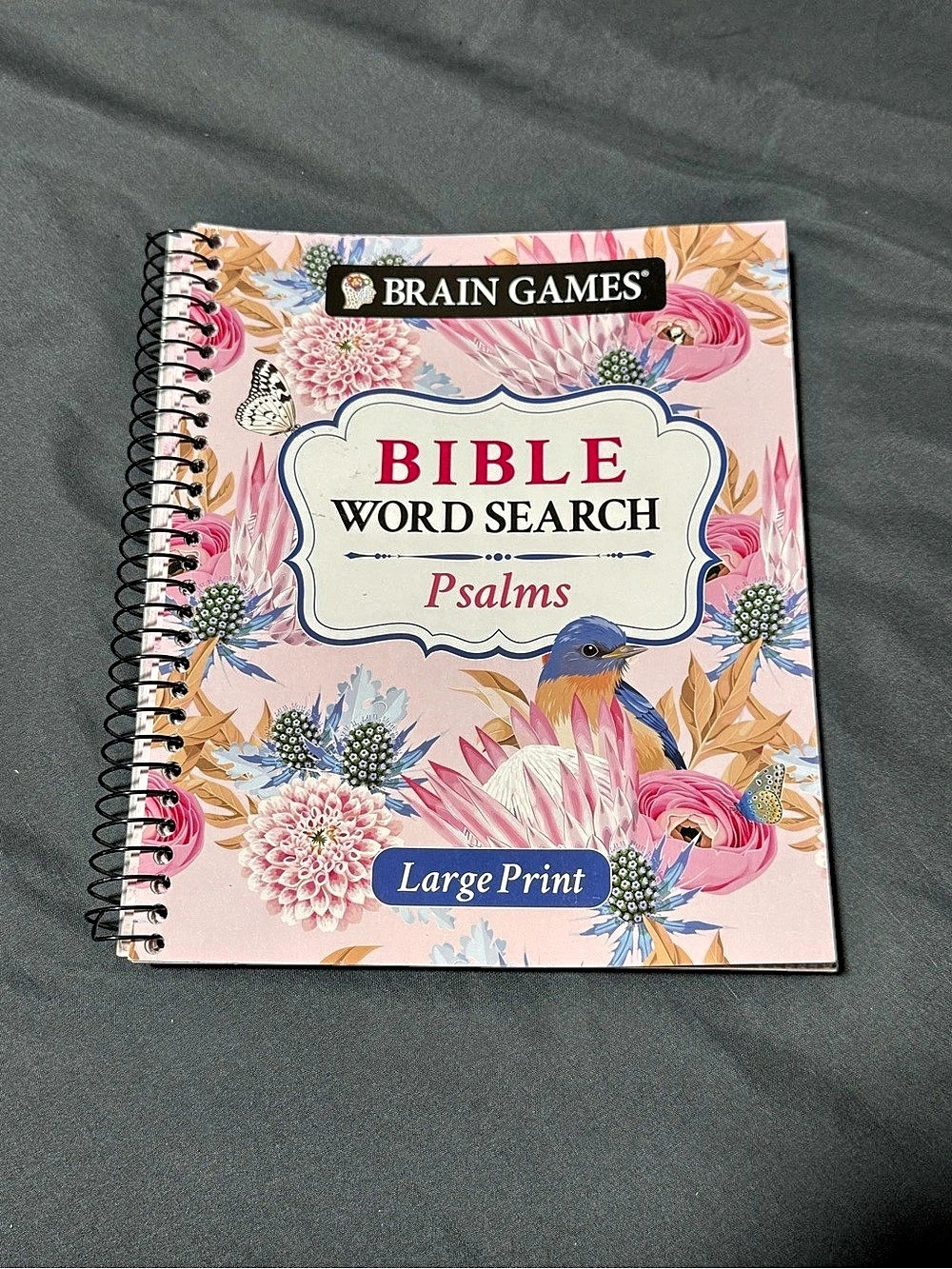 Brain Games Bible Word Search Psalms Large Print Puzzle Book New